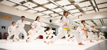 Karate 1300 x 560