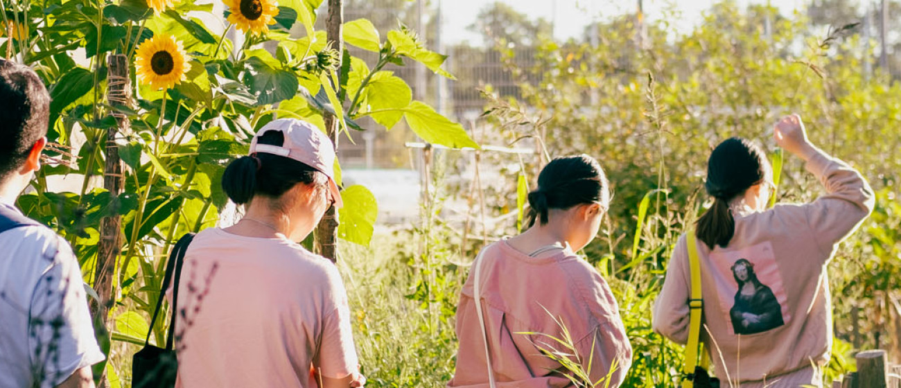 1. Header_Wildplukken