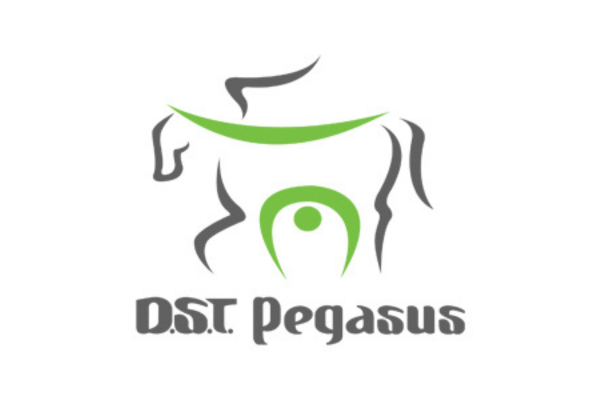 Pegasus 400 x 600