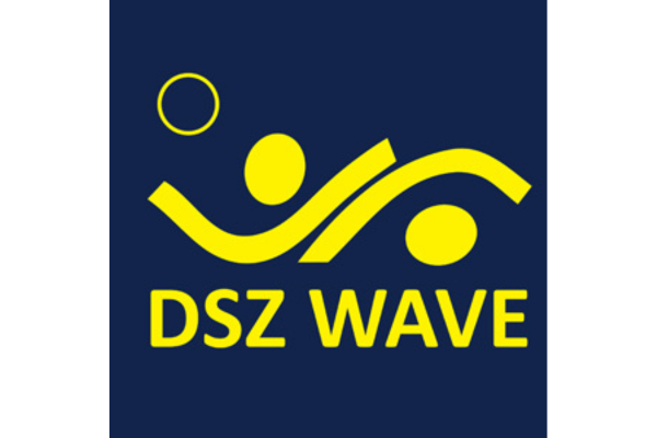 Wave 400 x 600