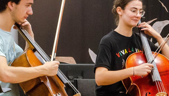 Cello_headerafbeelding 1300x560