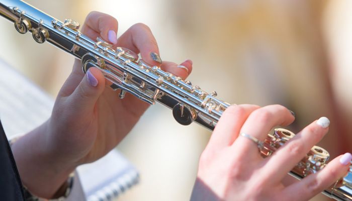 Dwarsfluit_Headerafbeelding 1300x560