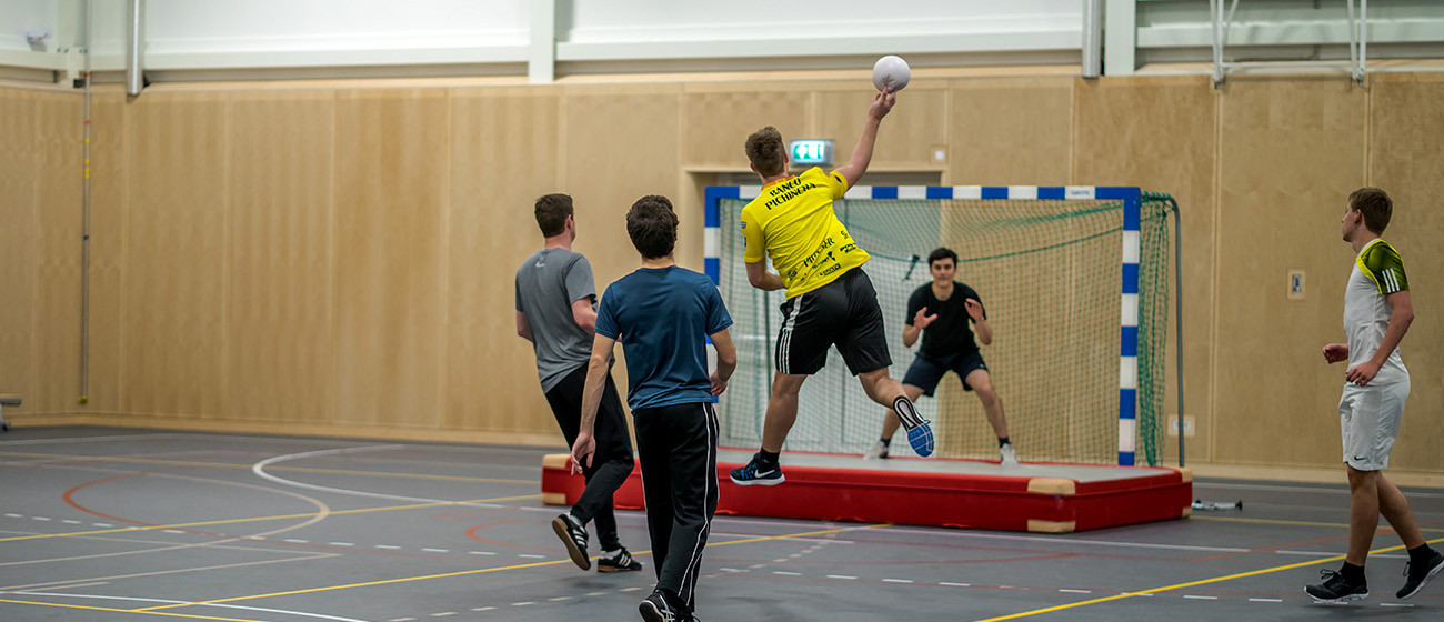 Handbal_headerafbeelding 1300x560