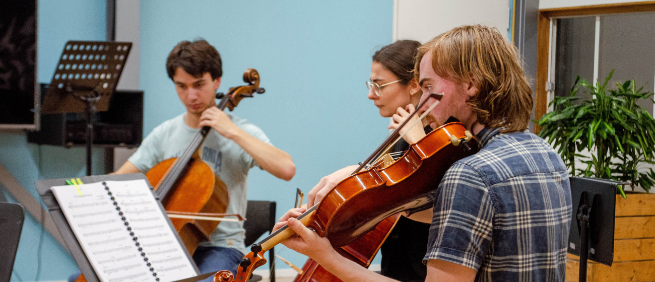 Strijkers ensemble_headerafbeelding  1300 x 560